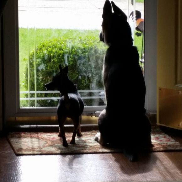 Meet your Posher, Teresa - Picture 1 of 1